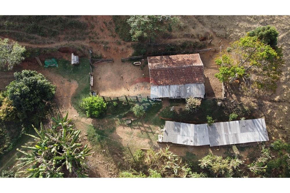 Chácara / Sítio / Fazenda - Venda - Ewbank da Câmara , Minas Gerais - WhatsApp Image 2025-02-19 at 16.44.54 (2).jpeg - 860301045-274