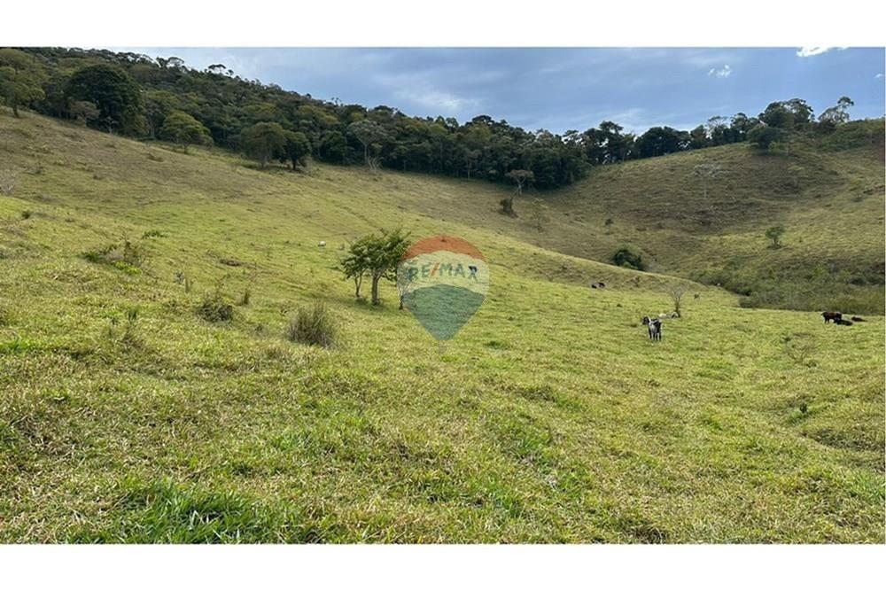 Chácara / Sítio / Fazenda - Venda - Lamim , Minas Gerais - L_4640b29a-cb6f-4c38-a2d4-1460344f0112.jpg - 860291033-108