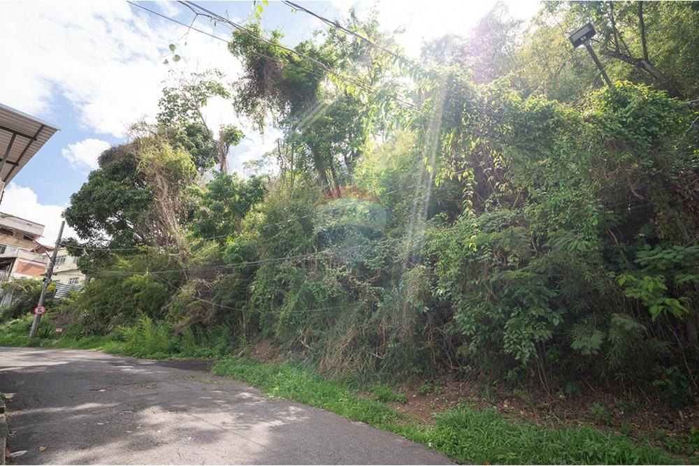 Terreno - Venda - Juiz de Fora , Minas Gerais - michaelseed.photo_1103-79-X2.jpg - 860211097-64