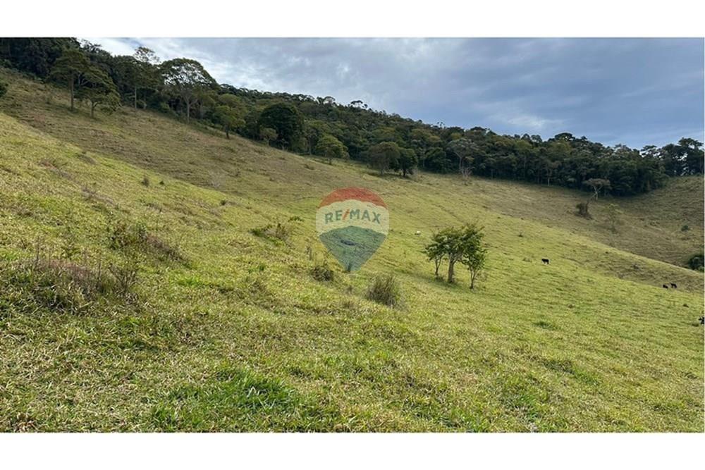 Chácara / Sítio / Fazenda - Venda - Lamim , Minas Gerais - L_445d17fe-c05c-46de-b780-05b6176d82df.jpg - 860291033-108