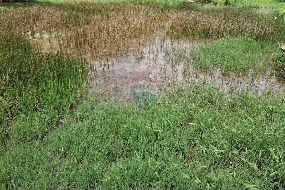 Chácara / Sítio / Fazenda - Venda - Juiz de Fora , Minas Gerais - WhatsApp Image 2025-11-18 at 21.05.02.jpeg - 860281098-63