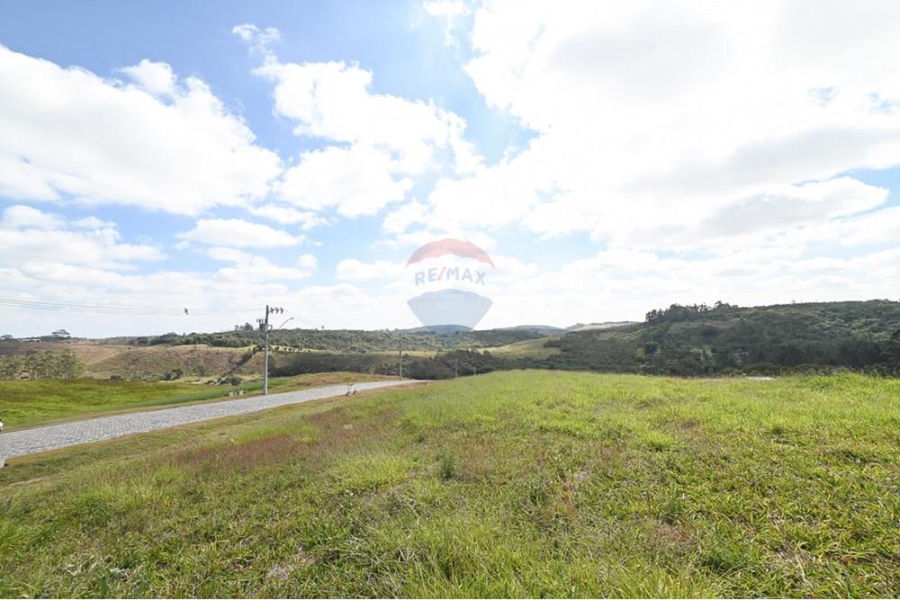 Terreno - Venda - Juiz de Fora , Minas Gerais - michaelseed photo_-382.jpg - 860211077-198