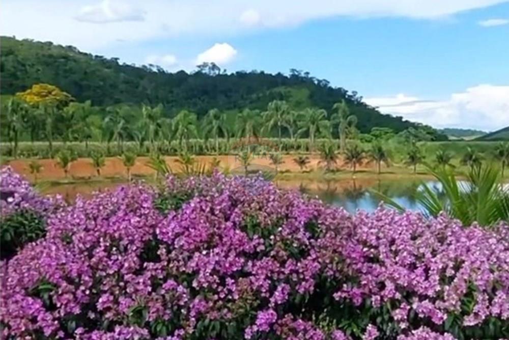 Terreno - Venda - Leopoldina , Minas Gerais - Imagem do WhatsApp de 2025-08-12 à(s) 19.00.03_b63b5e2a.jpg - 860381054-6