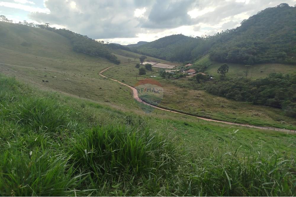 Fazenda - Venda - Barbacena , Minas Gerais - IMG_20250421_152713.jpg - 860391012-32