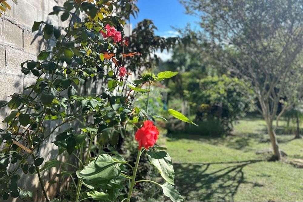 Apartamento - Venda - Juiz de Fora , Minas Gerais - IMG_4858.jpg - 860211142-1