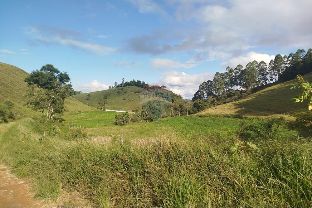 Fazenda - Venda - Barbacena , Minas Gerais - IMG_20250421_154026.jpg - 860391012-32