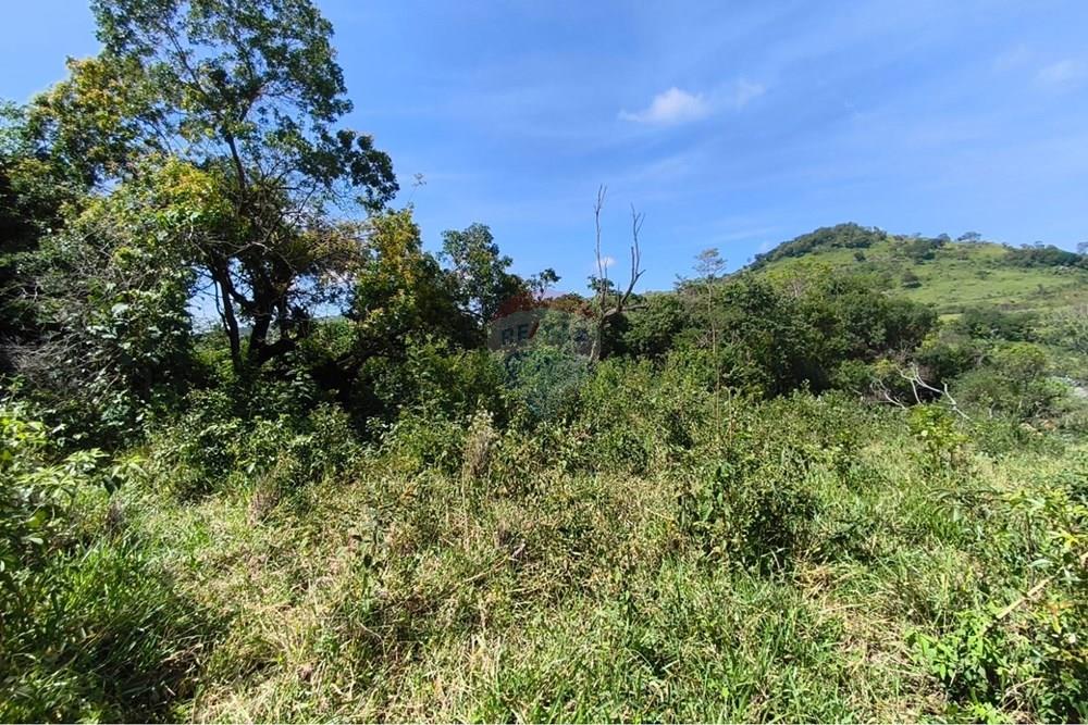 Chácara / Sítio / Fazenda - Venda - Lavras , Minas Gerais - WhatsApp Image 2026-04-08 at 17.33.38.jpeg - 860471037-28