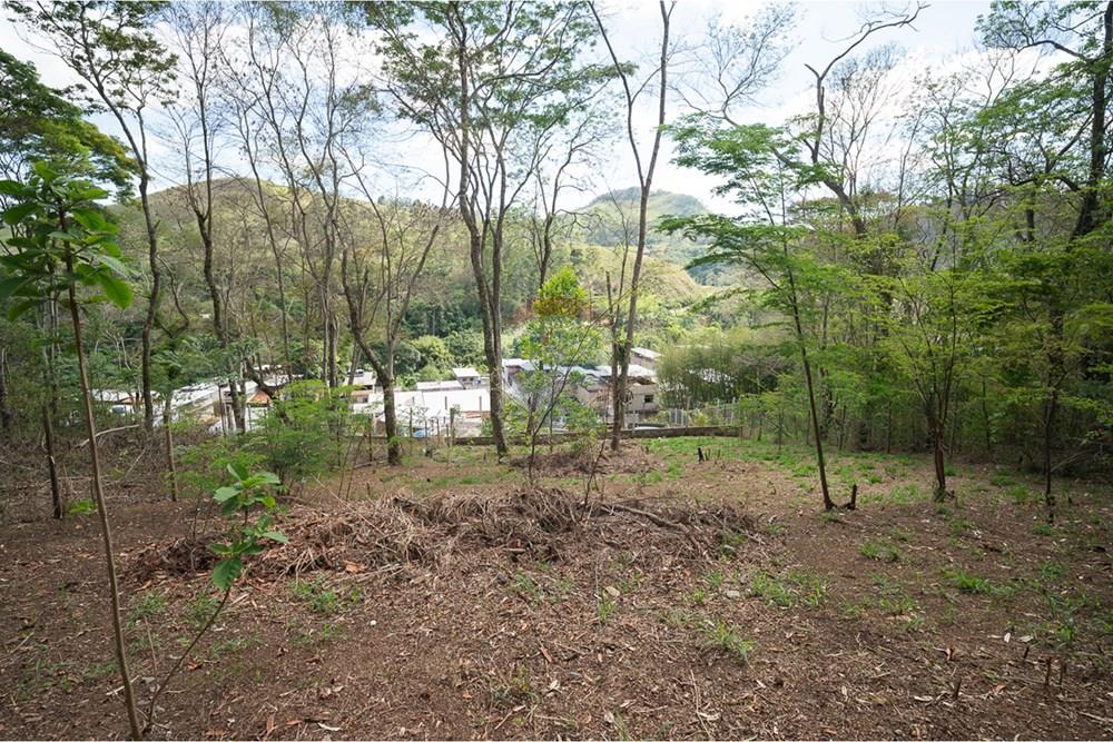 Terreno - Venda - Juiz de Fora , Minas Gerais - michaelseed photo_1103-9.jpg - 860211074-39
