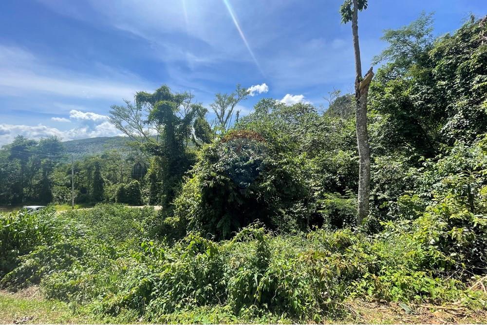 Terreno - Venda - Juiz de Fora , Minas Gerais - 20250204_171303115_iOS.jpg - 860281090-62