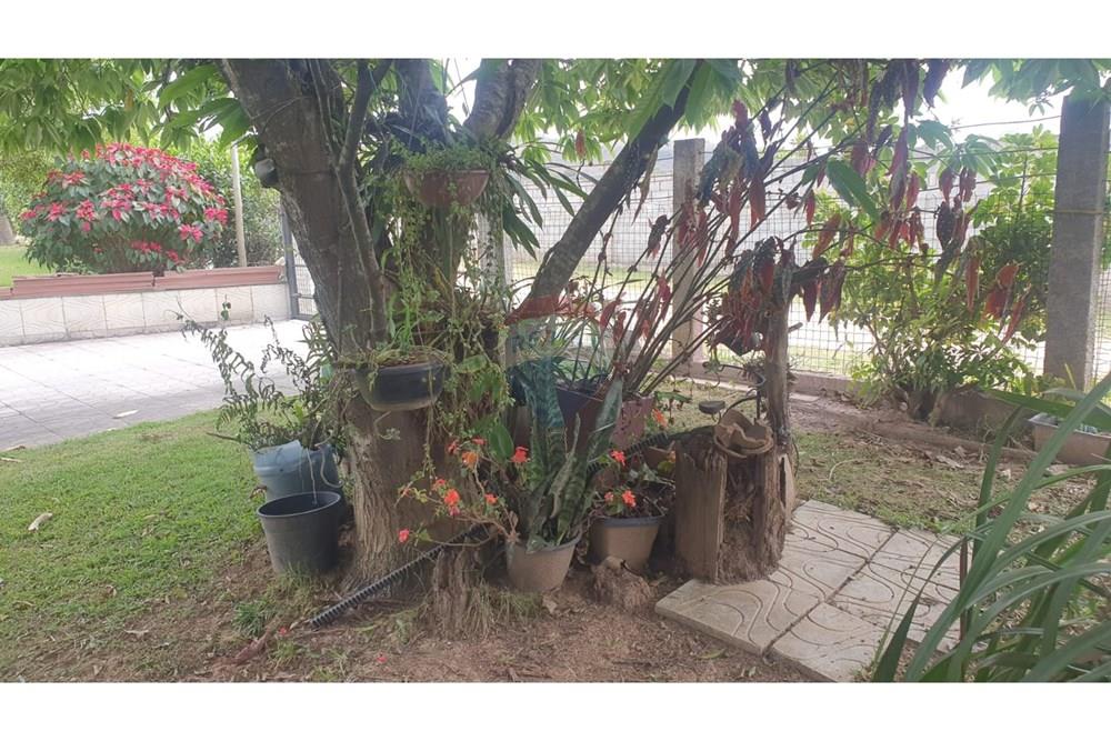 Chácara / Sítio / Fazenda - Venda - Barbacena , Minas Gerais - WhatsApp Image 2025-11-17 at 14.43.28 (15).jpeg - 860391028-24