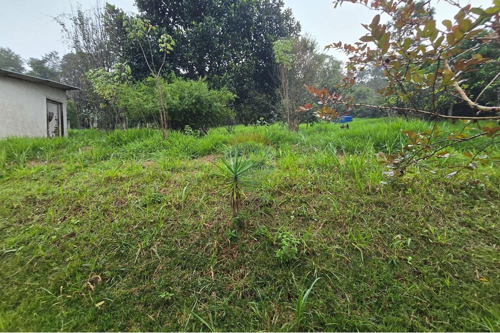 Chácara / Sítio / Fazenda - Venda - Juiz de Fora , Minas Gerais - 42.jpg - 860381070-74