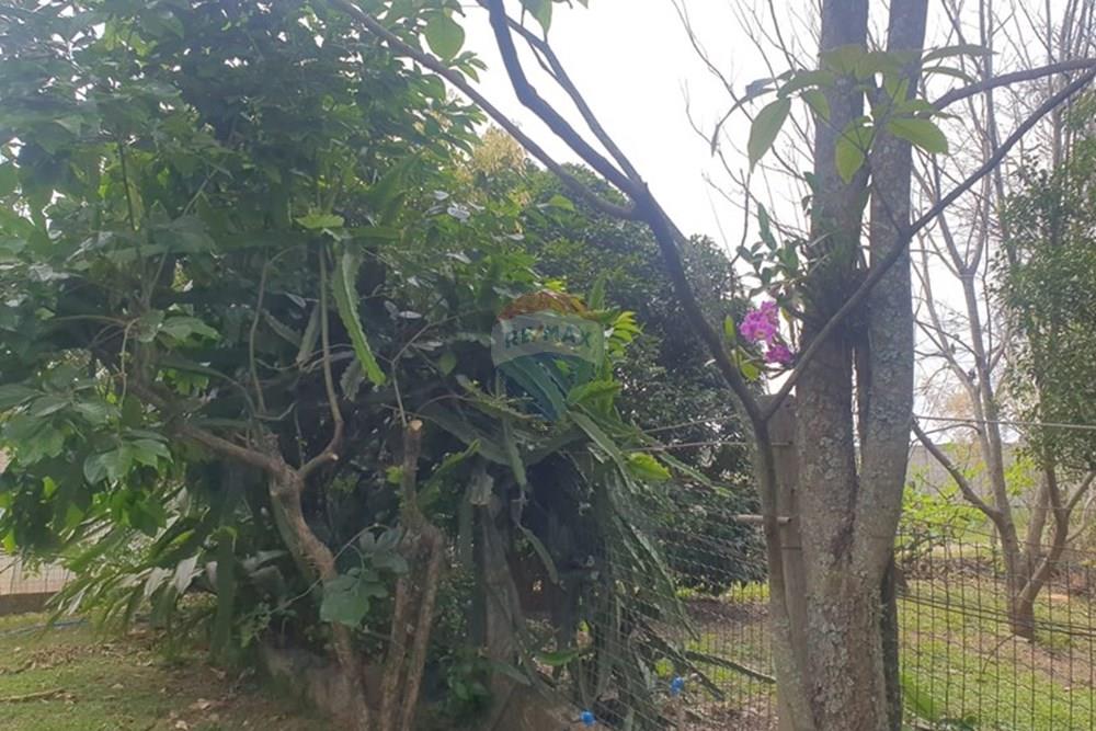 Chácara / Sítio / Fazenda - Venda - Barbacena , Minas Gerais - WhatsApp Image 2025-11-17 at 14.43.28 (26).jpeg - 860391028-24