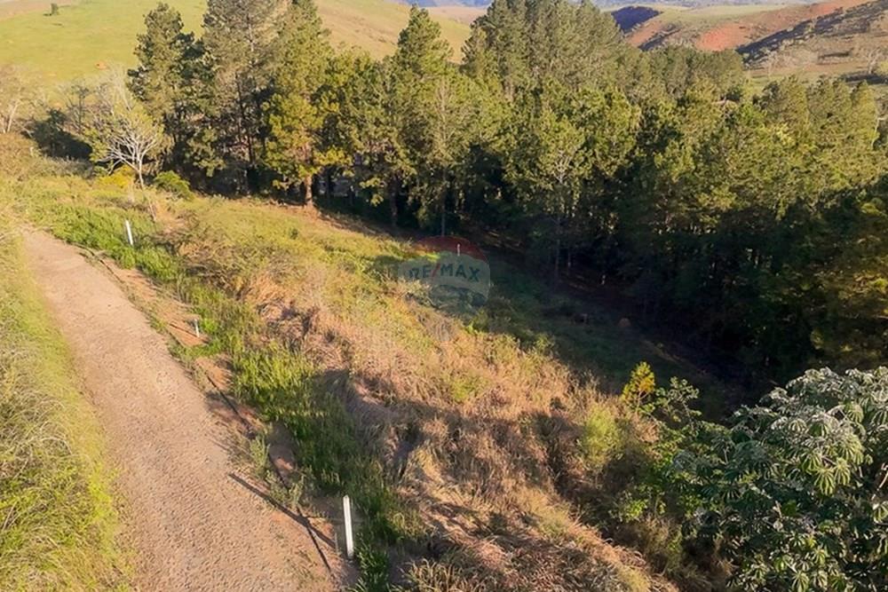 Terreno - Venda - Matias Barbosa , Minas Gerais - michaelseed.photo_SEMANA 2 11-392.jpg - 860361050-63