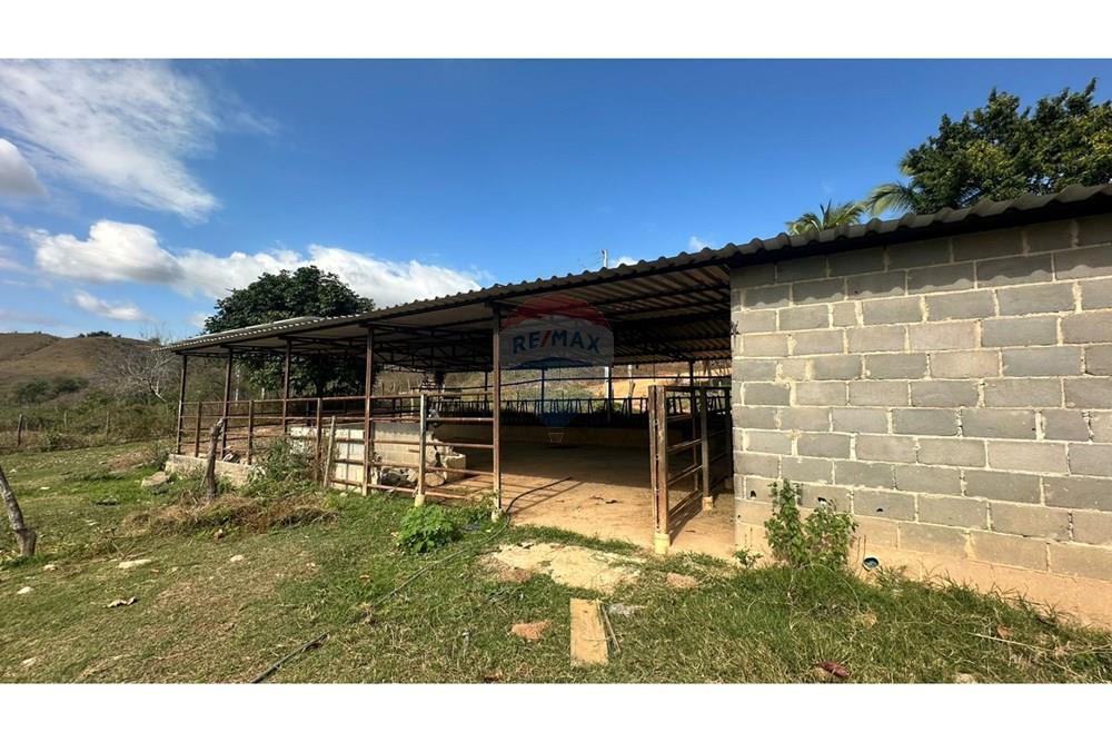 Chácara / Sítio / Fazenda - Venda - Cantagalo , Rio de Janeiro - af38cca5-61e7-4957-a855-d1387faf2ed8.JPG - 860291041-3