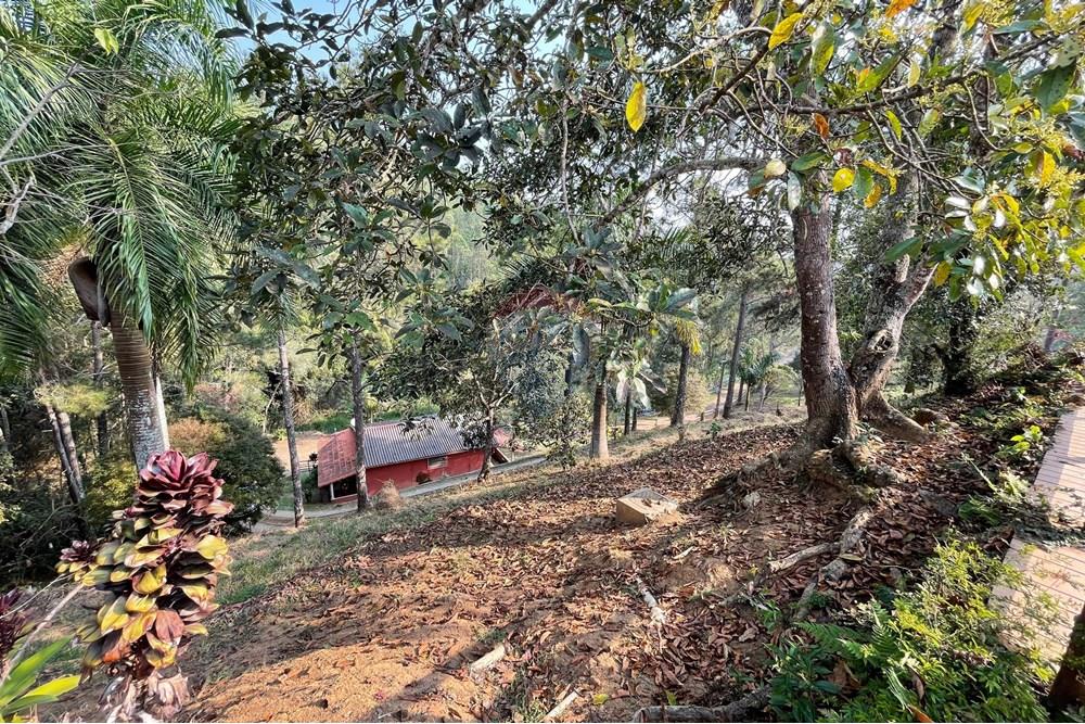 Chácara / Sítio / Fazenda - Venda - Juiz de Fora , Minas Gerais - WhatsApp Image 2024-09-05 at 10.07.15 (1).jpeg - 860281091-75