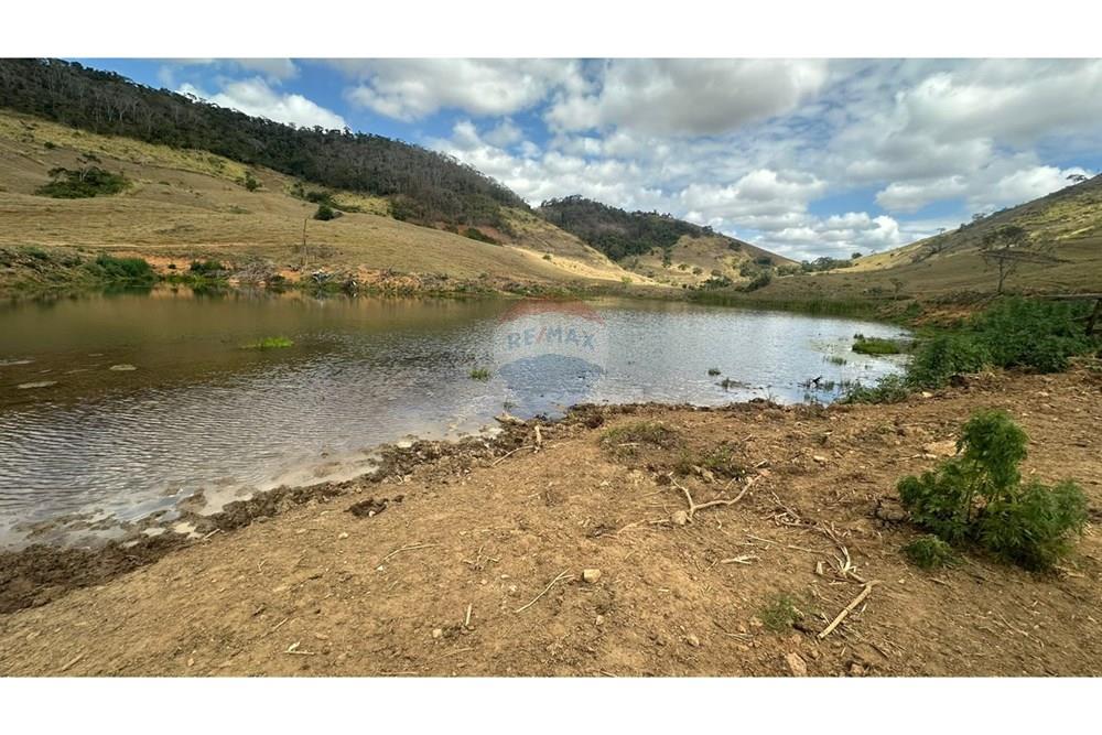 Chácara / Sítio / Fazenda - Venda - Leopoldina , Minas Gerais - WhatsApp Image 2025-09-22 at 10.32.45 (4).jpeg - 860291033-118