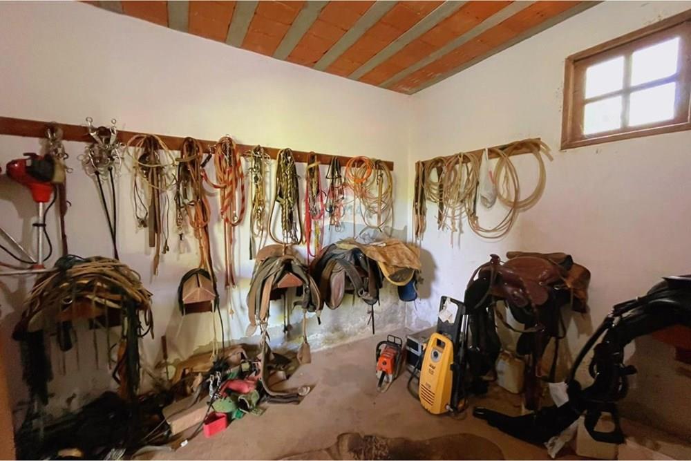 Chácara / Sítio / Fazenda - Venda - Lima Duarte , Minas Gerais - WhatsApp Image 2026-02-08 at 13.44.40.jpeg - 860271019-33