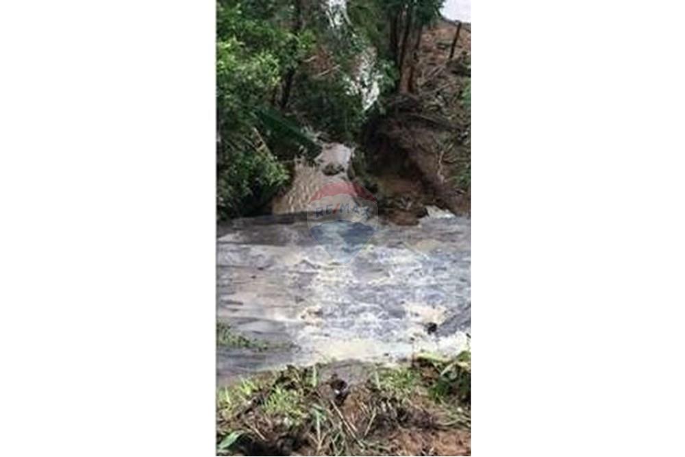 Chácara / Sítio / Fazenda - Venda - Matias Barbosa , Minas Gerais - L_64ef6c356e9845d78da72803b210e046.jpg - 860291033-113