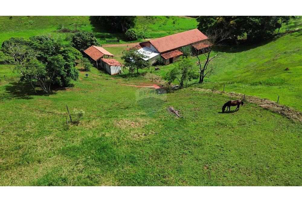 Chácara / Sítio / Fazenda - Venda - Lima Duarte , Minas Gerais - IMG_0960.JPG.jpeg - 860291041-36