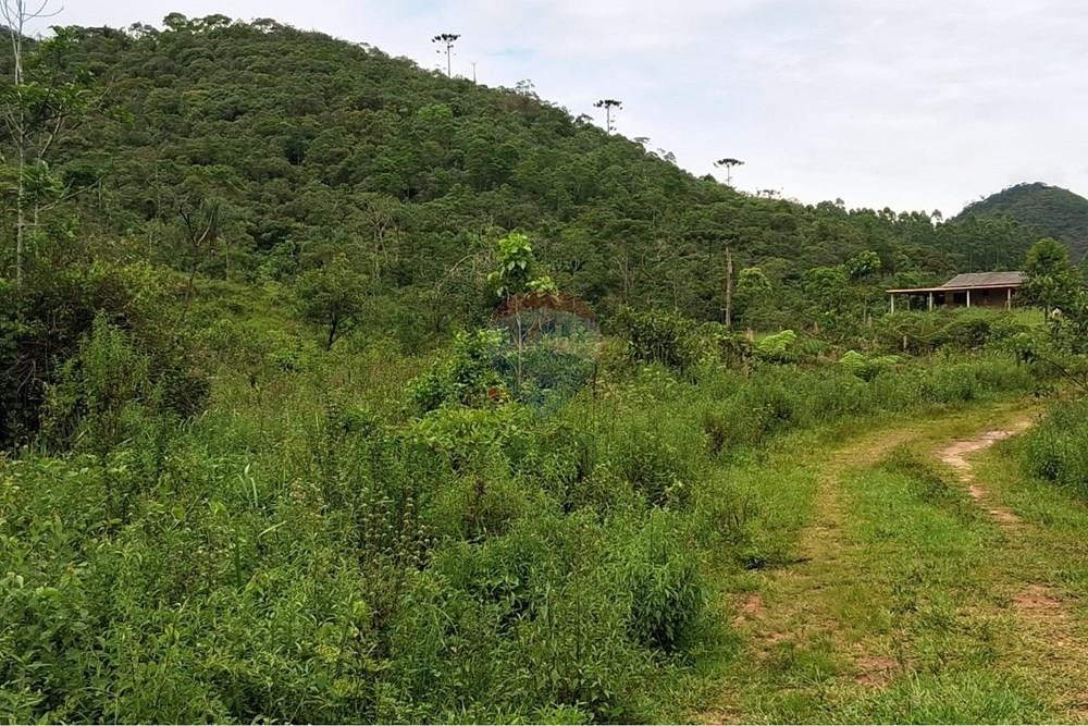 Chácara / Sítio / Fazenda - Venda - Rio Preto , Minas Gerais - WhatsApp Image 2026-01-10 at 15.07.13.jpeg - 860281098-65