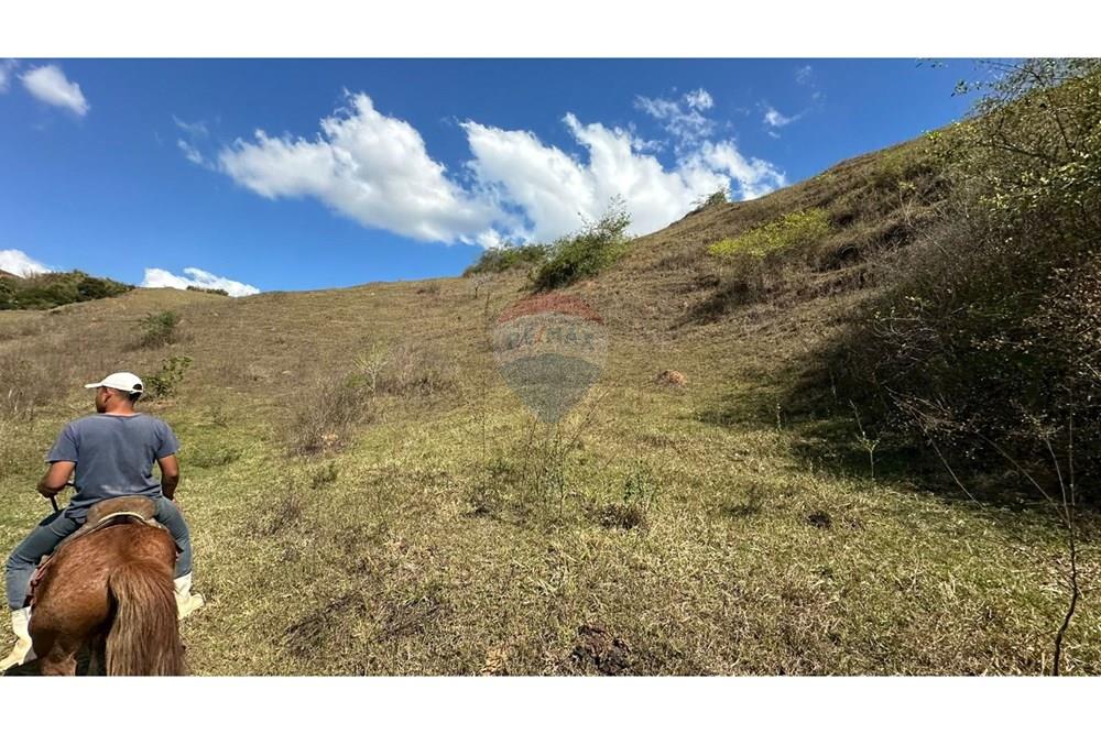 Chácara / Sítio / Fazenda - Venda - Cantagalo , Rio de Janeiro - 8e735af6-b39e-480a-95b1-8a9b00db8561.JPG - 860291041-3