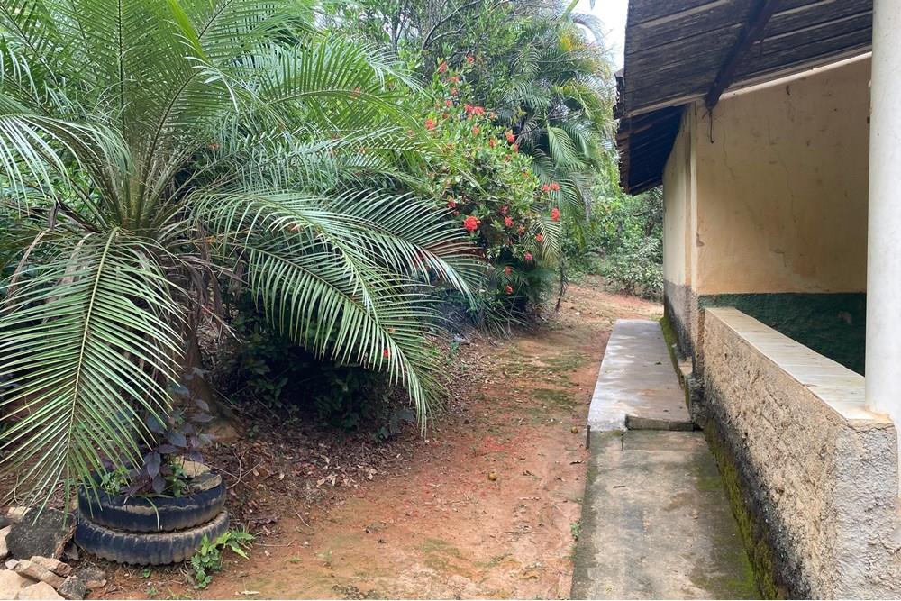 Chácara / Sítio / Fazenda - Venda - Muriaé , Minas Gerais - WhatsApp Image 2025-03-24 at 16.21.14.jpeg - 860371002-116