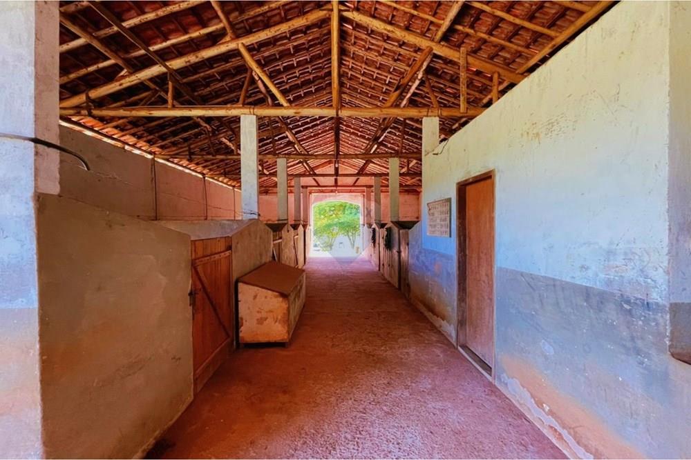 Chácara / Sítio / Fazenda - Venda - Lima Duarte , Minas Gerais - WhatsApp Image 2026-02-08 at 13.15.50.jpeg - 860271019-33