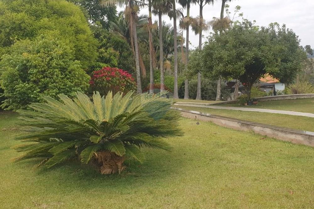 Chácara / Sítio / Fazenda - Venda - Barbacena , Minas Gerais - WhatsApp Image 2025-11-17 at 14.43.28 (4).jpeg - 860391028-24