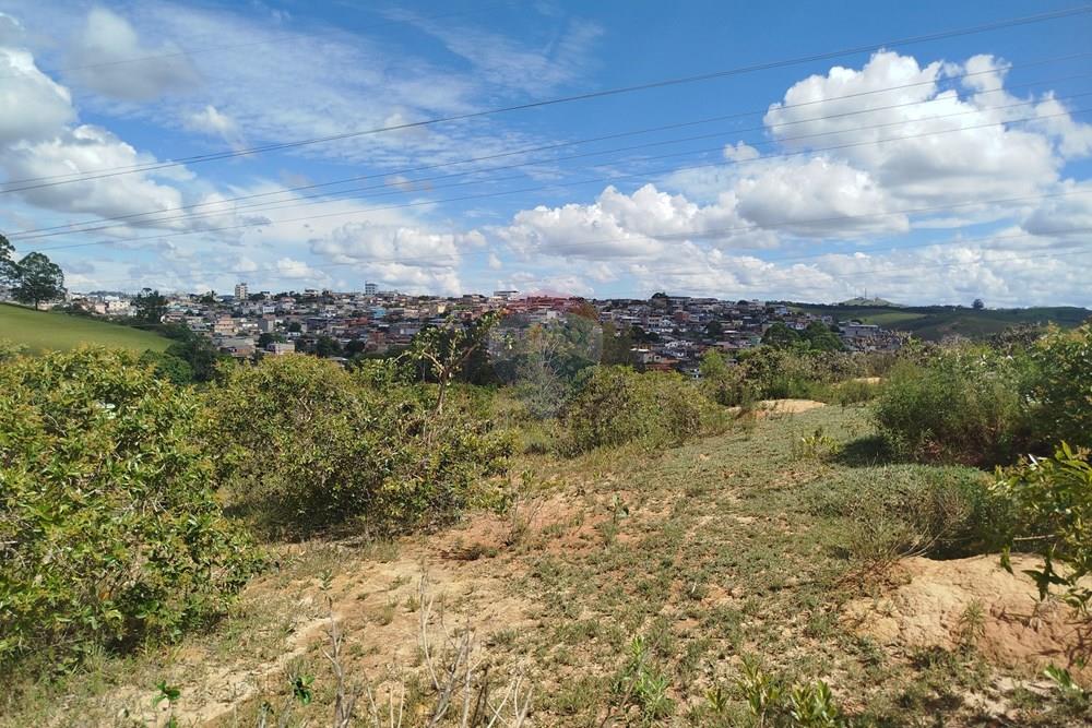 Terreno - Venda - Barbacena , Minas Gerais - IMG_20260212_144433.jpg - 860391012-44