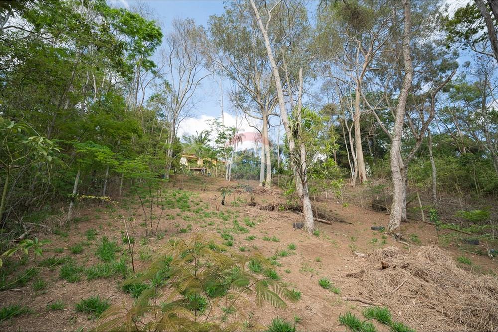 Terreno - Venda - Juiz de Fora , Minas Gerais - michaelseed photo_1103-11.jpg - 860211074-39