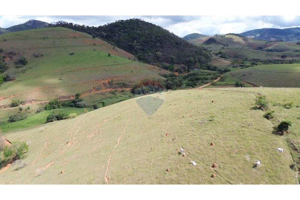 Agro - Venda - Rochedo de Minas , Minas Gerais - 068a363e-83db-4ab7-8c02-689a0c51fde6.JPG - 860291041-34