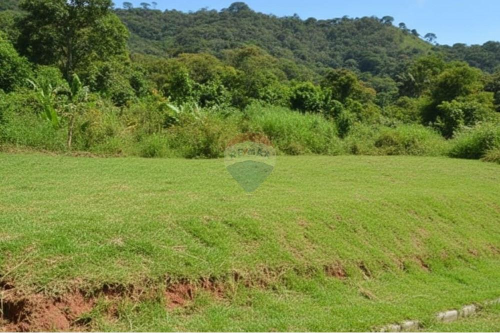 Terreno - Venda - Conselheiro Lafaiete , Minas Gerais - lote jardim europa atualizado.jpg - 860421030-30