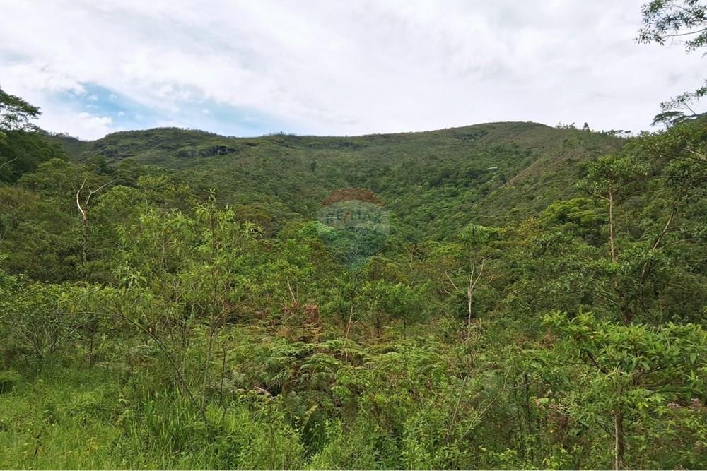 Chácara / Sítio / Fazenda - Venda - Rio Preto , Minas Gerais - WhatsApp Image 2026-01-10 at 15.06.30.jpeg - 860281098-67