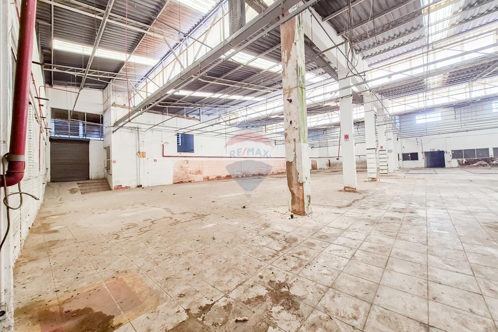 Galpão - Alugar - Juiz de Fora , Minas Gerais - 20260319_133633.jpg - 860301048-57