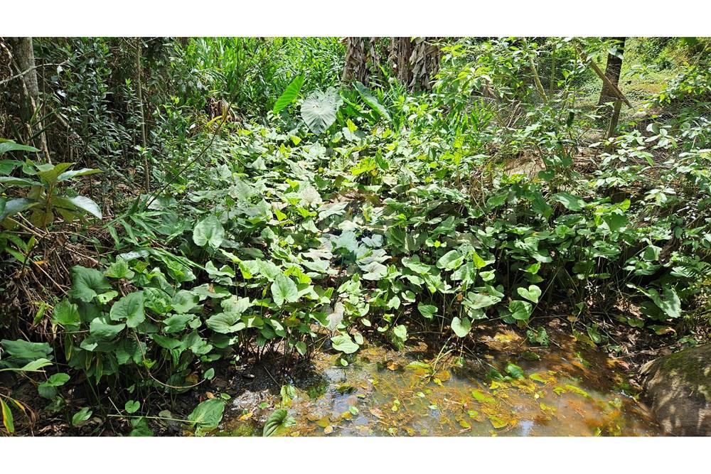 Casa - Venda - Juiz de Fora , Minas Gerais - 20251105_102620.jpg - 860301016-249