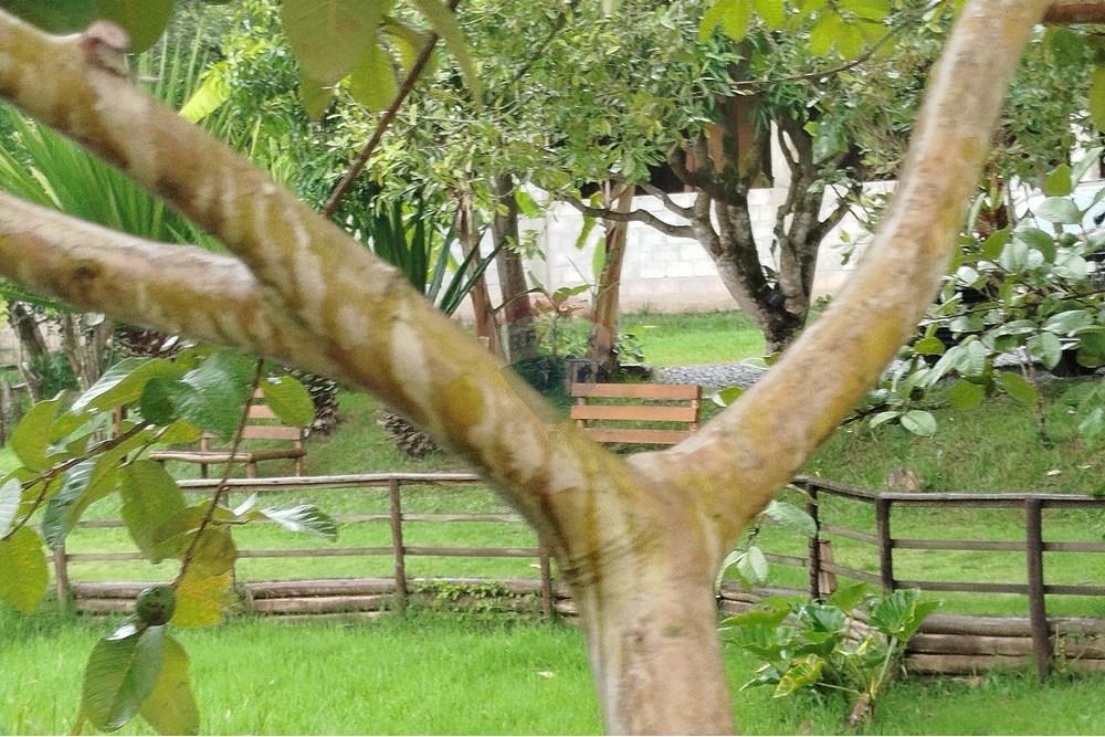 Hotel/ Pousada - Venda - Tiradentes , Minas Gerais - IMG_20250131_114257.jpg - 860391012-33