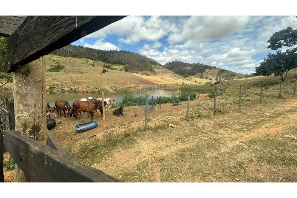 Chácara / Sítio / Fazenda - Venda - Leopoldina , Minas Gerais - WhatsApp Image 2025-09-22 at 10.32.50.jpeg - 860291033-118