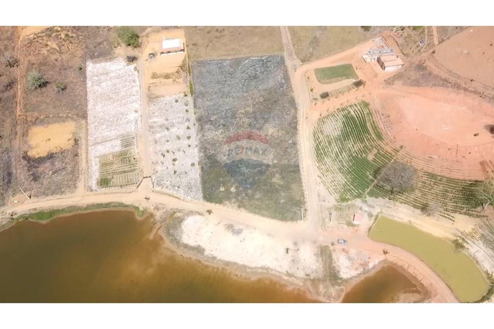 Chácara / Sítio / Fazenda - Venda - Patrocínio do Muriaé , Minas Gerais - 1000322295.jpg - 860371002-115