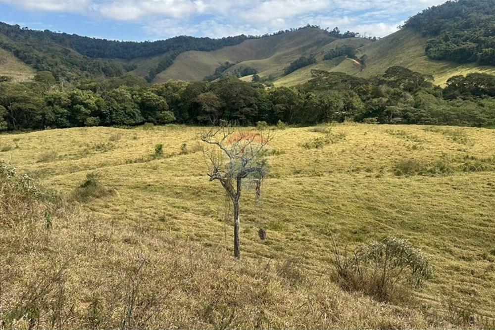 Chácara / Sítio / Fazenda - Venda - Lima Duarte , Minas Gerais - a0a81c1e-3c36-4a04-bb70-3437c1157261.JPG - 860291033-133