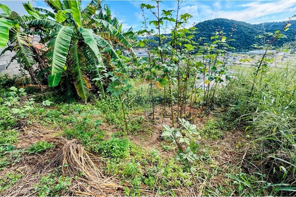 Terreno - Venda - Juiz de Fora , Minas Gerais - cc9406e8-3ddb-4495-8271-2b7be98abce9.jpg - 860211053-57