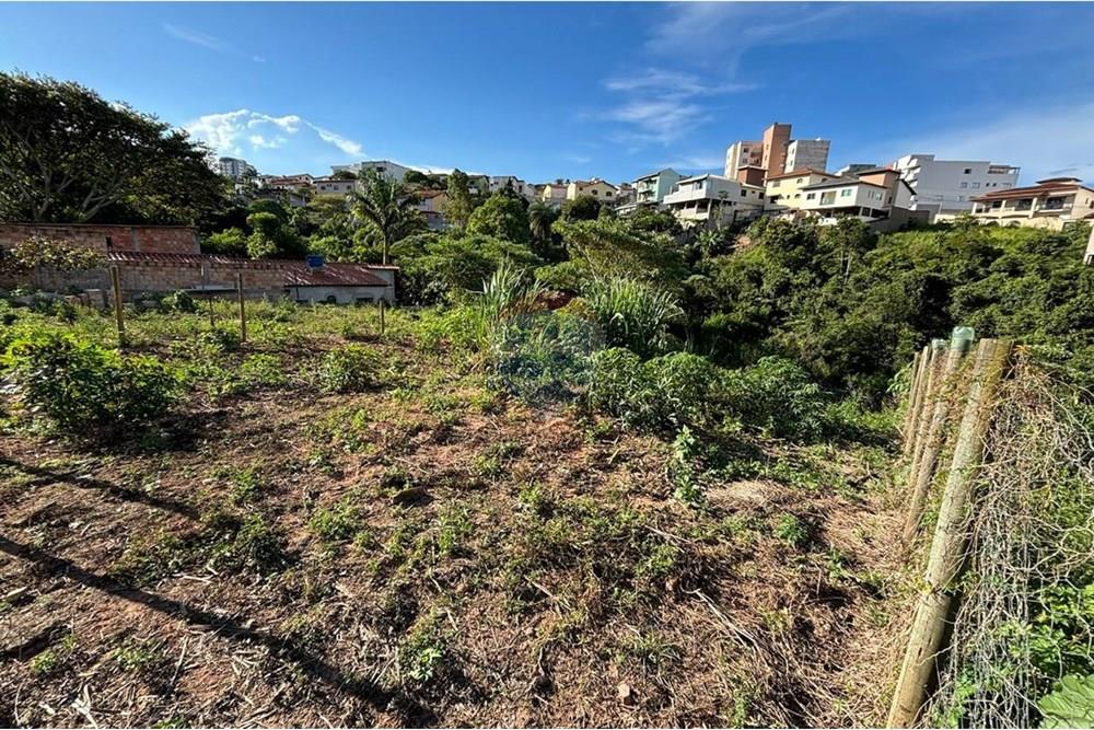 Terreno - Venda - Conselheiro Lafaiete , Minas Gerais - WhatsApp Image 2025-03-07 at 16.29.35.jpeg - 860421002-454