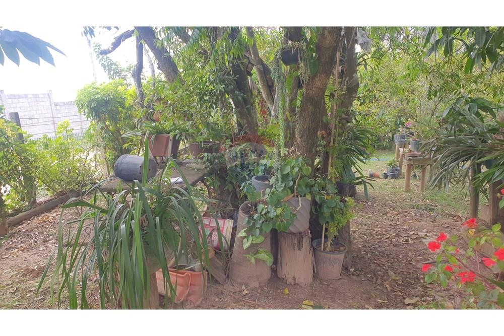 Chácara / Sítio / Fazenda - Venda - Barbacena , Minas Gerais - WhatsApp Image 2025-11-17 at 14.43.28 (14).jpeg - 860391028-24