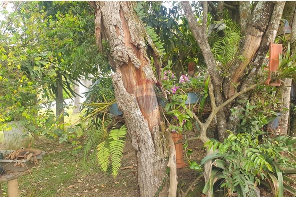 Chácara / Sítio / Fazenda - Venda - Barbacena , Minas Gerais - WhatsApp Image 2025-11-17 at 14.43.28 (22).jpeg - 860391028-24