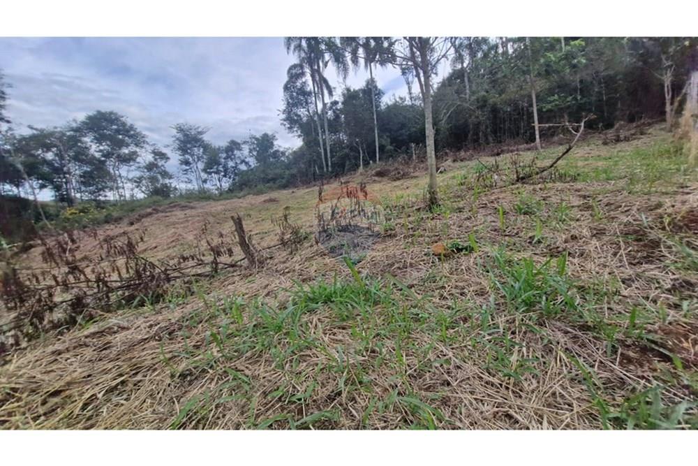 Terreno - Venda - Chácara , Minas Gerais - WhatsApp Image 2025-04-27 at 19.08.11.jpeg - 860211017-60