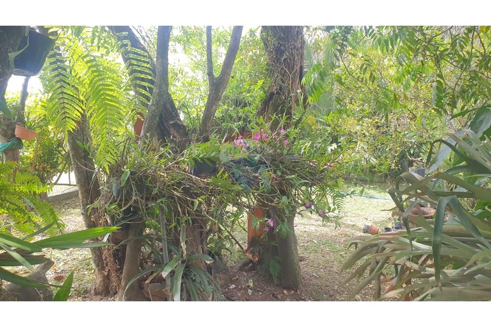 Chácara / Sítio / Fazenda - Venda - Barbacena , Minas Gerais - WhatsApp Image 2025-11-17 at 14.43.28 (16).jpeg - 860391028-24