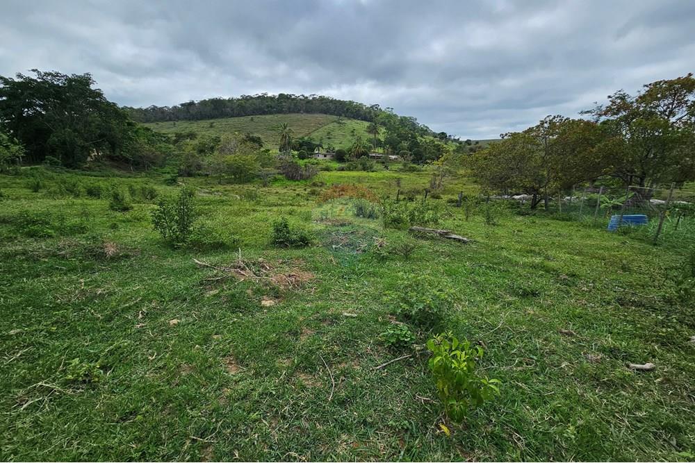 Terreno - Venda - Barão de Monte Alto , Minas Gerais - 20251207_080629.jpg - 860371002-205
