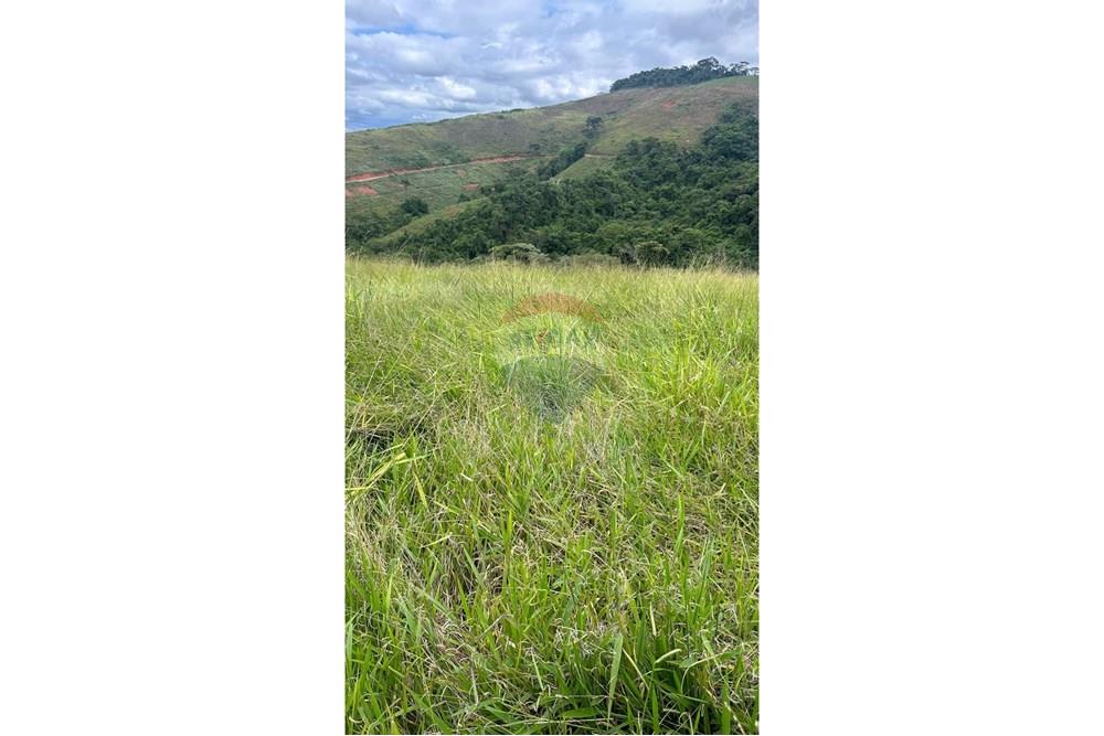 Terreno - Venda - Matias Barbosa , Minas Gerais - 36f8c893-9573-427f-a43a-10dca20d6cec.JPG - 860291033-86