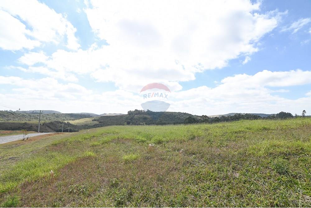 Terreno - Venda - Juiz de Fora , Minas Gerais - michaelseed photo_-381.jpg - Quintal - 860211077-198