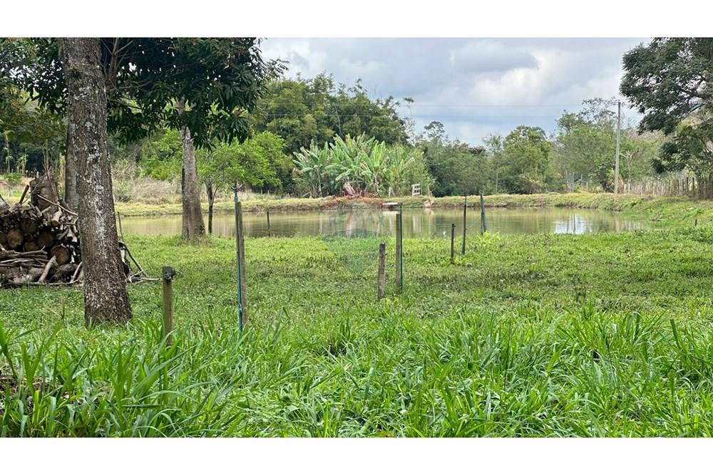 Chácara / Sítio / Fazenda - Venda - Juiz de Fora , Minas Gerais - WhatsApp Image 2025-02-12 at 18.15.02 (2).jpeg - 860291033-75