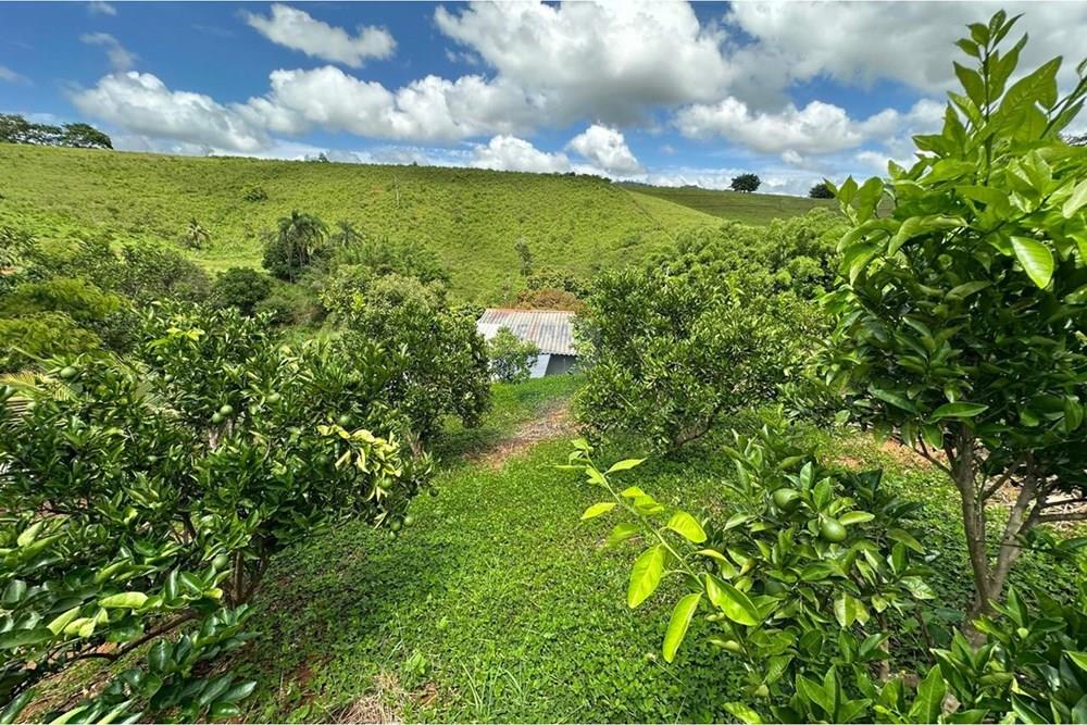 Chácara / Sítio / Fazenda - Venda - Muriaé , Minas Gerais - WhatsApp Image 2026-01-27 at 13.54.07 (2).jpeg - 860371007-116